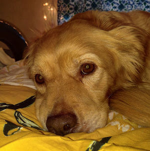 Meet your Posher, Jadyn